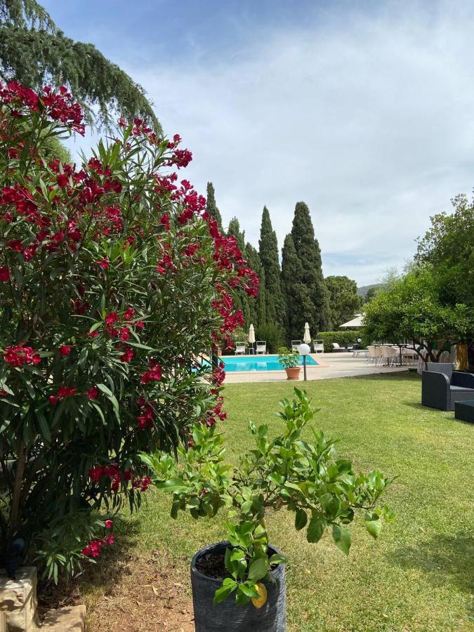 B&B Villa Il Poggetto Venturina Terme Dış mekan fotoğraf