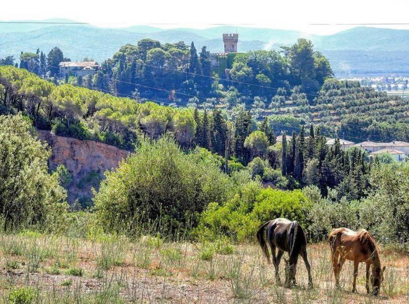 B&B Villa Il Poggetto Venturina Terme Dış mekan fotoğraf