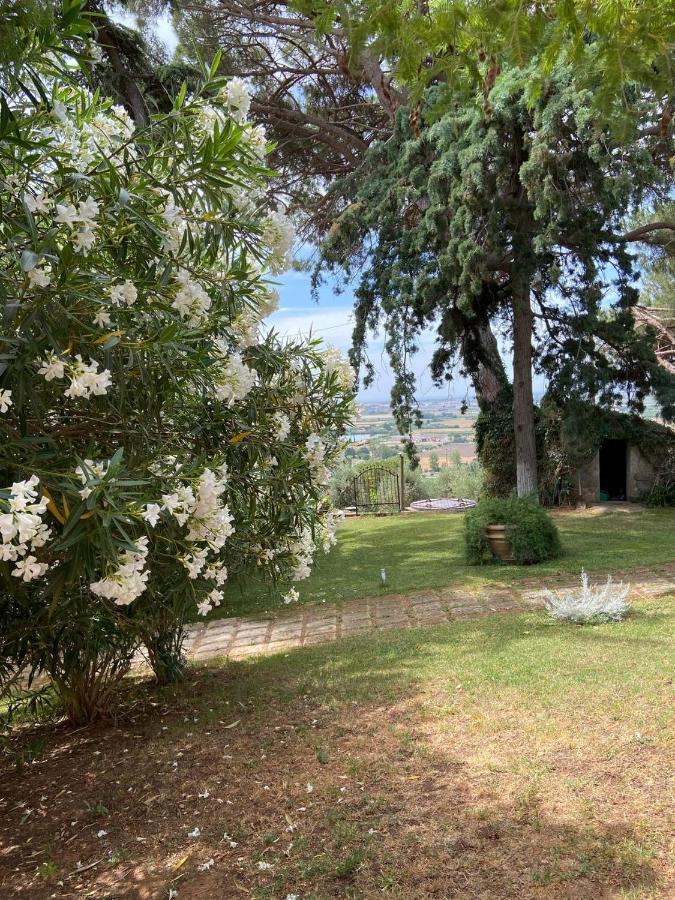 B&B Villa Il Poggetto Venturina Terme Dış mekan fotoğraf