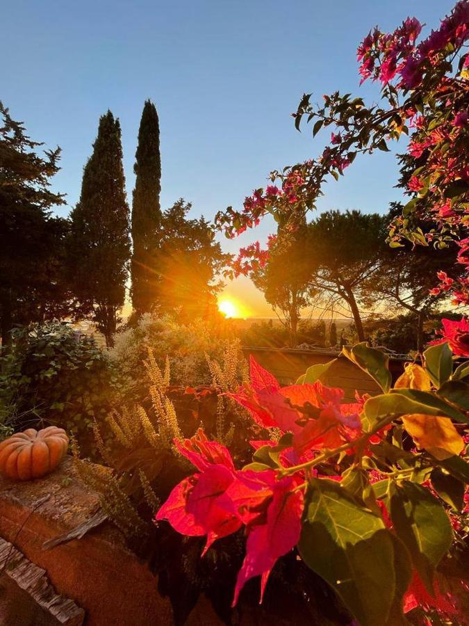 B&B Villa Il Poggetto Venturina Terme Dış mekan fotoğraf