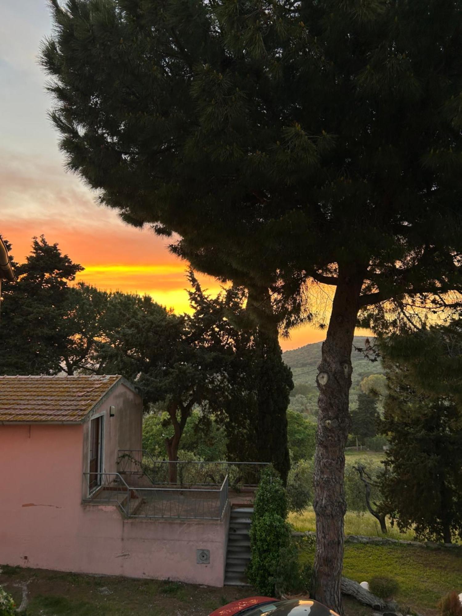 B&B Villa Il Poggetto Venturina Terme Dış mekan fotoğraf