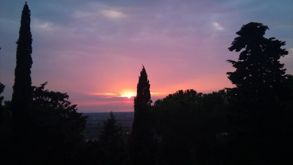 B&B Villa Il Poggetto Venturina Terme Dış mekan fotoğraf
