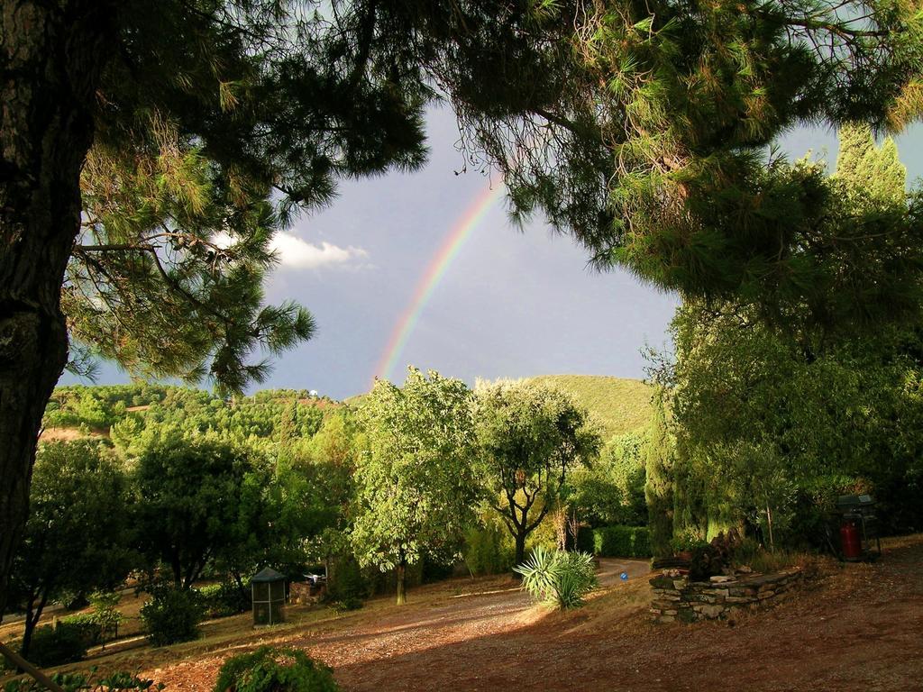 B&B Villa Il Poggetto Venturina Terme Dış mekan fotoğraf